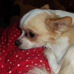 Meet your Posher, Cathy